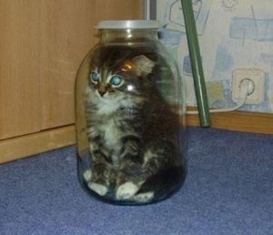 ������������ ���